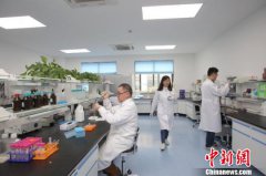 打破“闭门造车”桎梏 上海探索学科交叉合作促进女性生殖健康