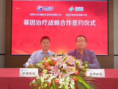 强强联合 共创双赢｜中因科技与宜明细胞签署战略合作协议