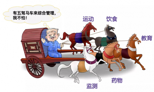 二甲双胍普通片、缓释片、肠溶片,暗藏玄机!