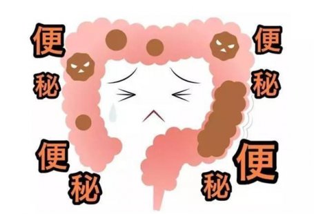 容易便秘吃什么？用它调理出健康好肠道