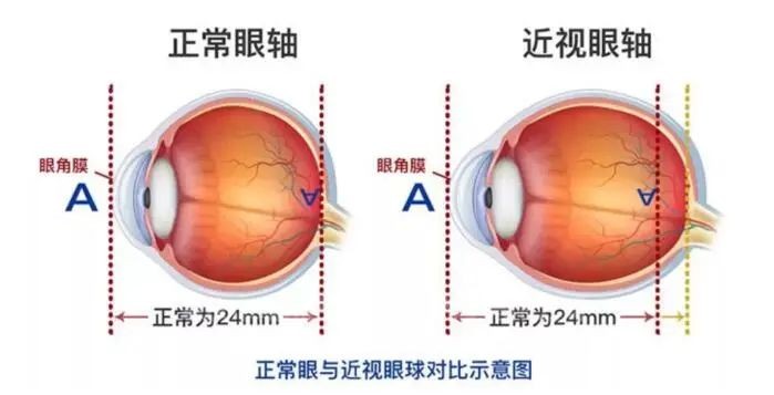 微信图片_20220319182412.jpg