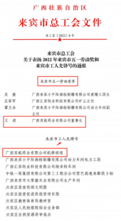 双喜临门|双蚁药业王波董事长和机修班组获来宾市总工会通报表扬