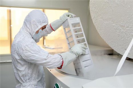 中赢生物上半年逆势增长，五年增长率超45%成为NK细胞行业黑马