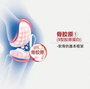 Move Free骨胶原的功效与作用是什么？为关节软骨架构，维护关节健康