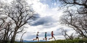 虽然说一年之计在于春，但晨跑运动还是要留神