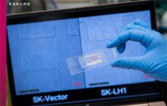 香港城大发现促进癌细胞转移的蛋白质 有望为癌症治疗提供新靶点