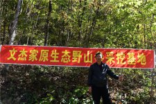 吃这样人参等于白扔钱！采参人文杰道出惊人内幕！